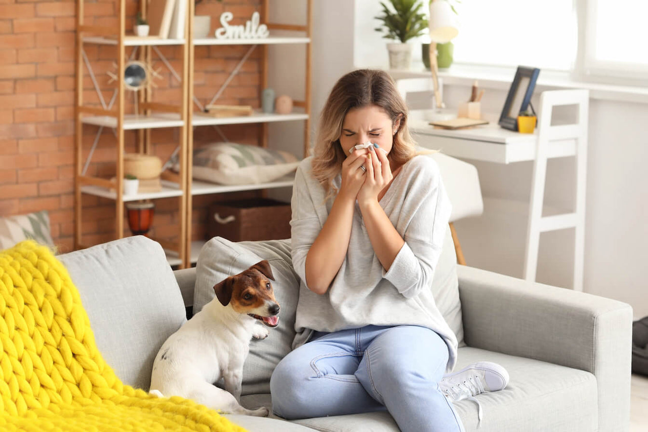 Creating an Allergen-Free Sanctuary: Tips for Reducing Allergens in Your Home