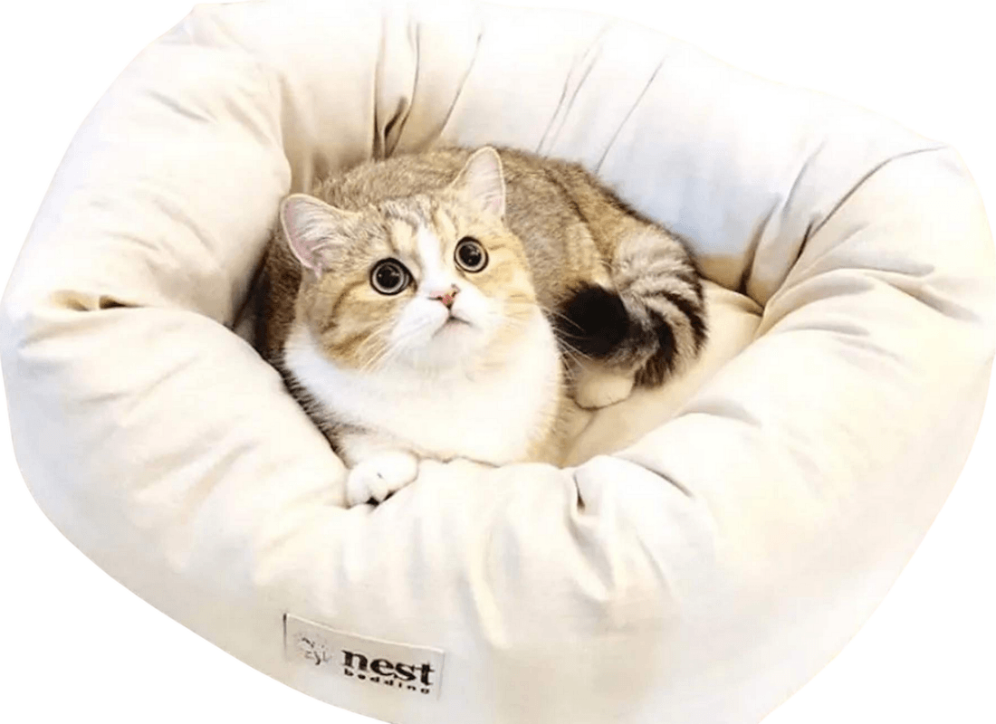 Bolstered Pet Bed