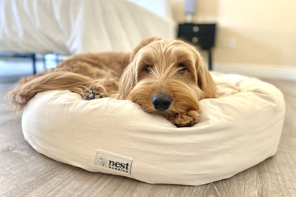 Bolstered Pet Bed