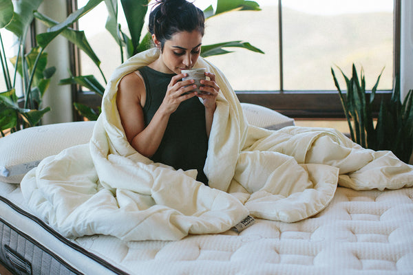 Nest Bedding Washable Wool Comforter - Nest Bedding®  in a beautiful green and natural light bedroom