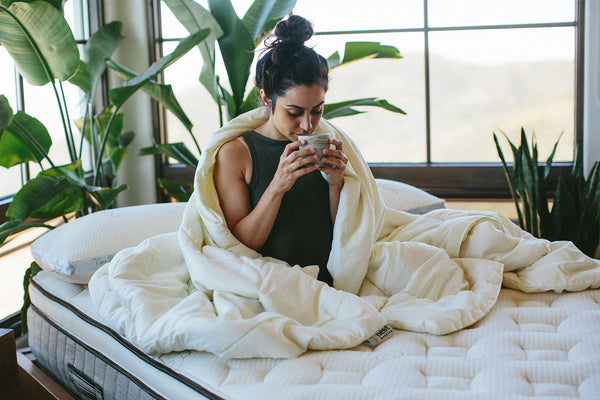 Nest Bedding Washable Wool Comforter - Nest Bedding®  in a beautiful green and natural light bedroom