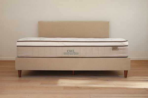 Nest Bedding HomeBase Foundation