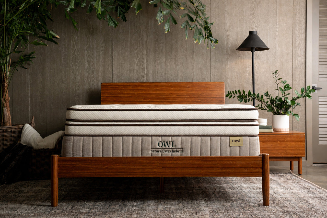 Large bedroom scene, green plants, Soft Latex Topper on top of the Owl Natural Latex Hybrid mattress