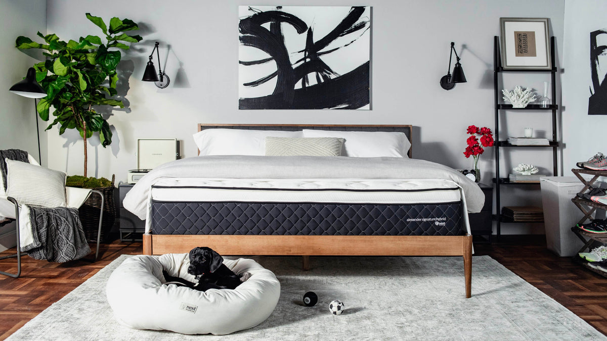 Dog in front of made bed 