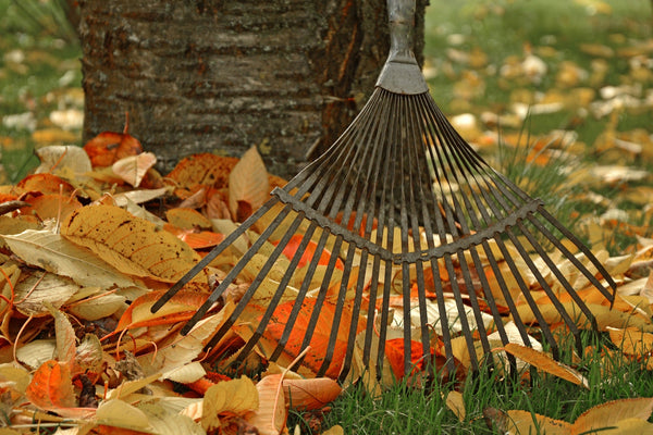 How Can You Get Your Home Ready for Fall?