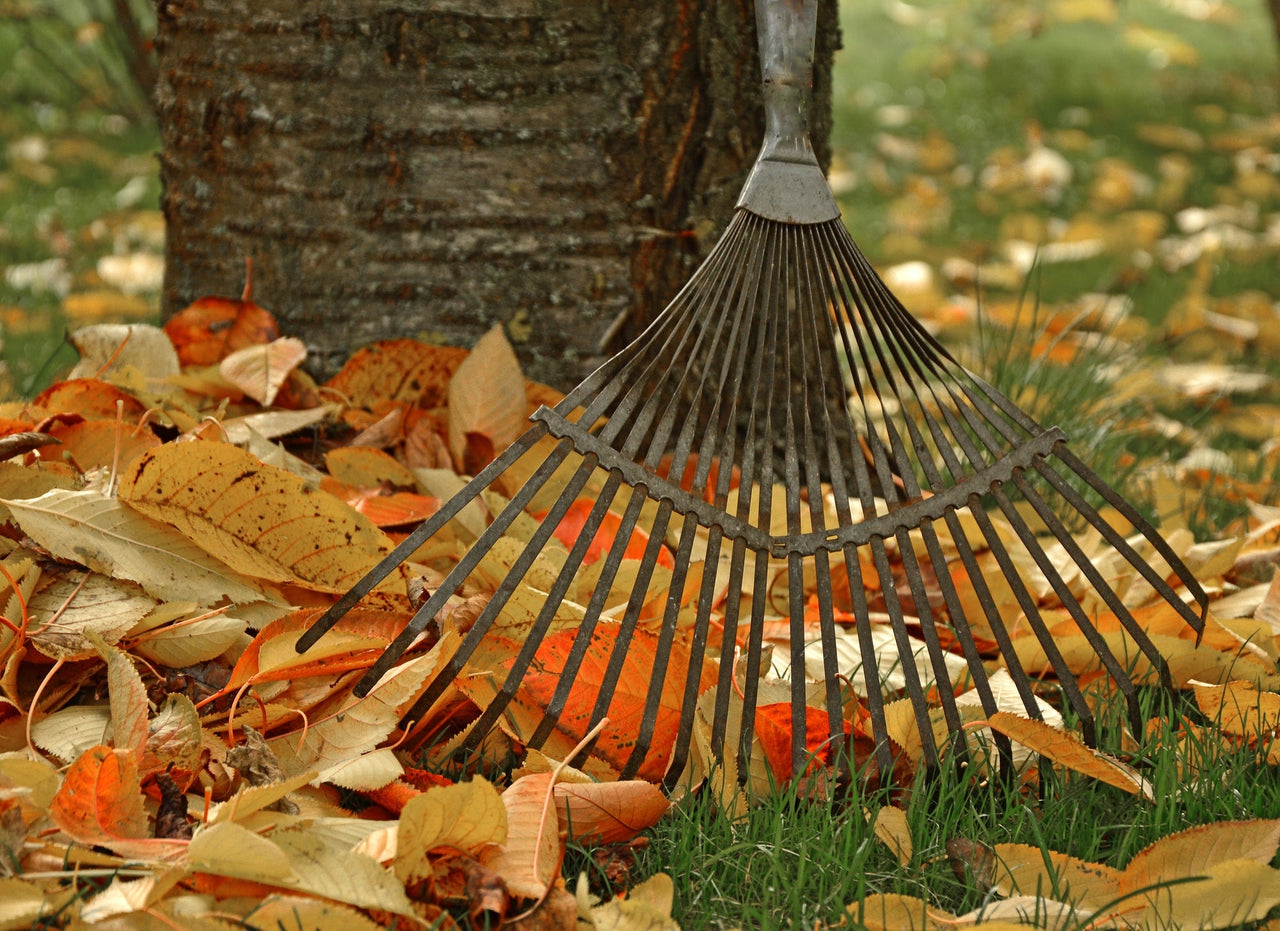 How Can You Get Your Home Ready for Fall?