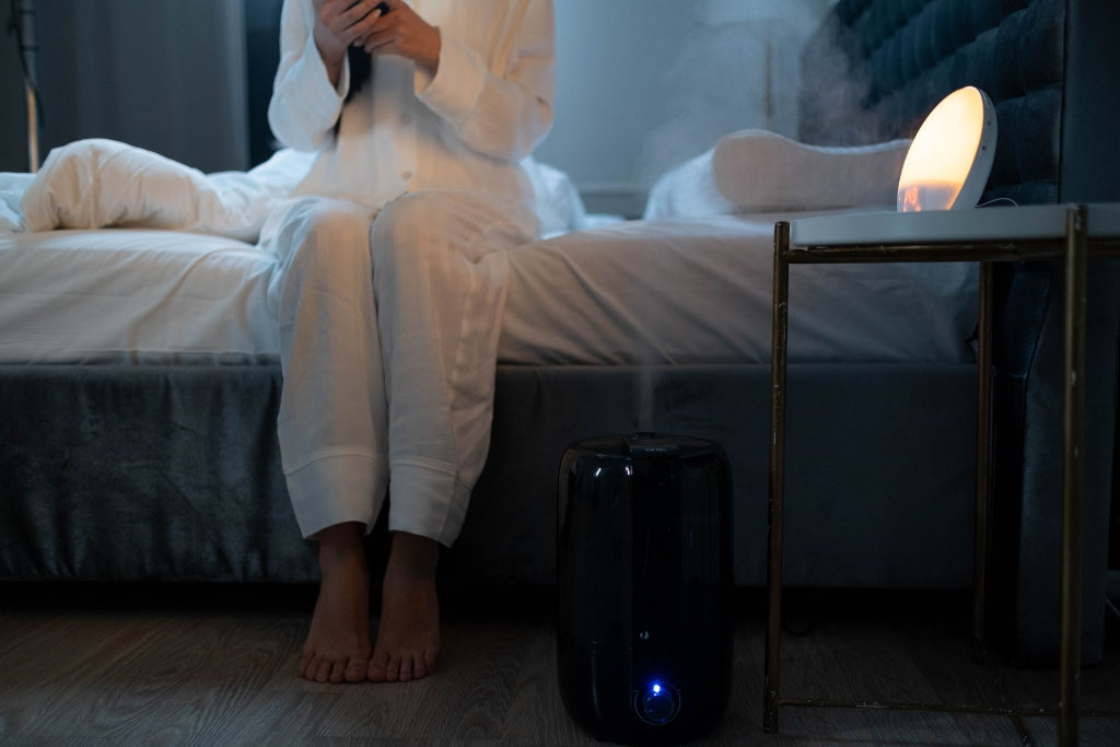 Dehumidifier