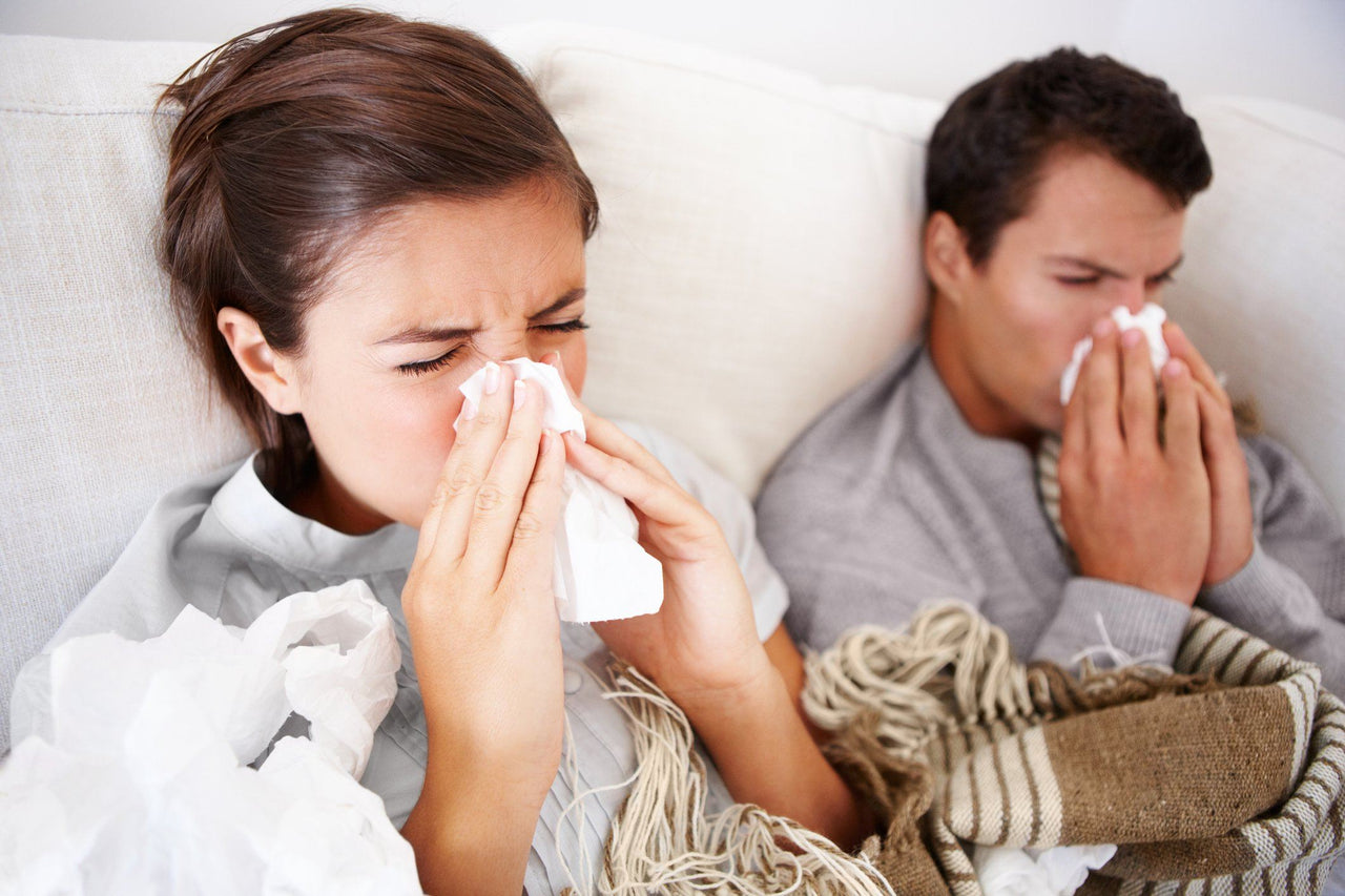 couple fighting allergies in bed needs hypoallergenic bedding