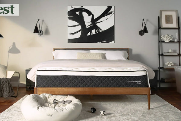 Irresistible Black Friday Home and Living Deals: Dive into Comfort with Nest Bedding