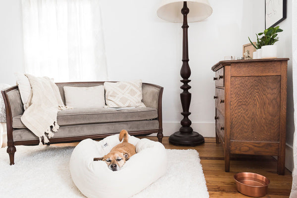 The Pinnacle of Comfort: Why Your Beloved Pet Deserves a Luxury Dog Bed