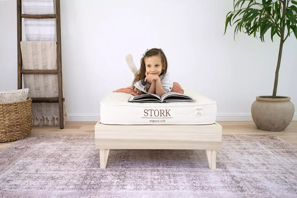 The Rising Popularity of Organic Mattresses: A Natural Path to Better Sleep and Health