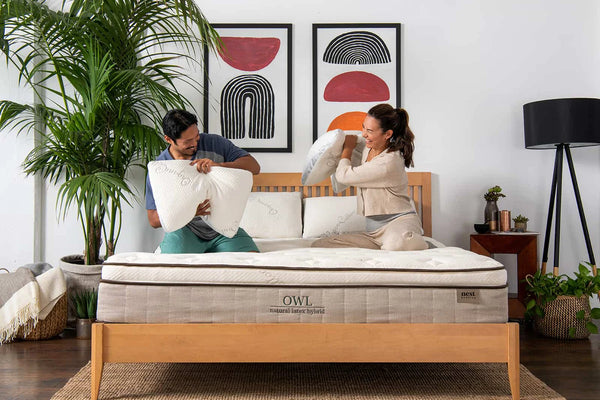 Owl Latex Hybrid Mattress