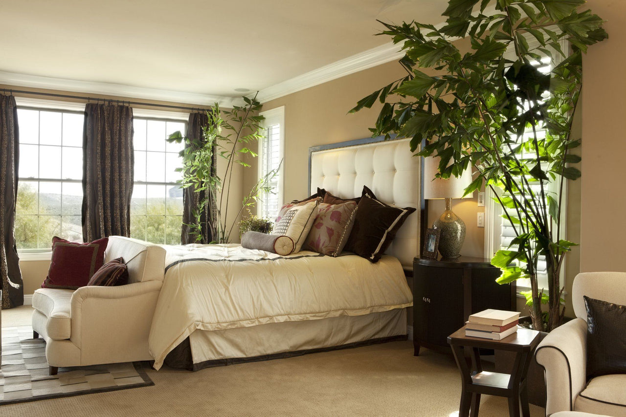 plants in your bedroom