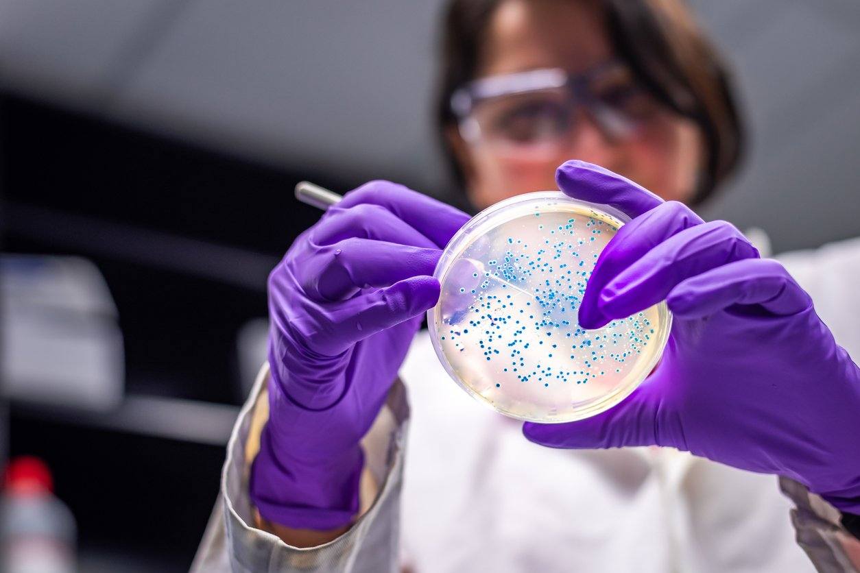 scientist examining microbiome in palette dish