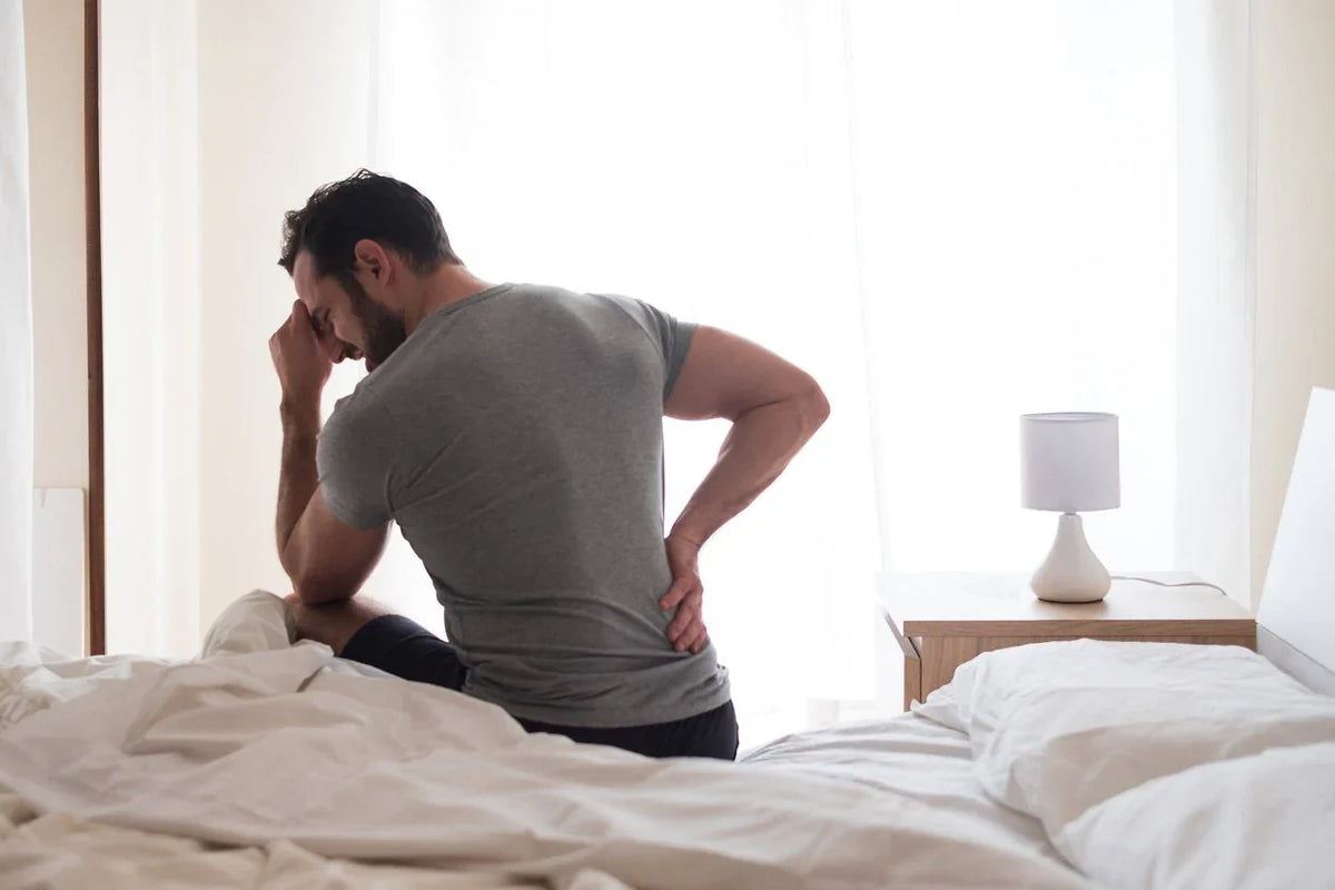 The OWL: Best Mattress for Spine Support