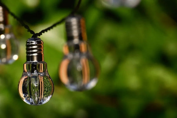 Sustainable Trends You Should Keep an Eye on in 2023