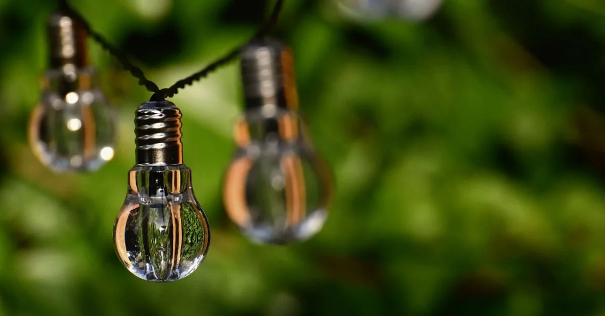 Sustainable Trends You Should Keep an Eye on in 2023