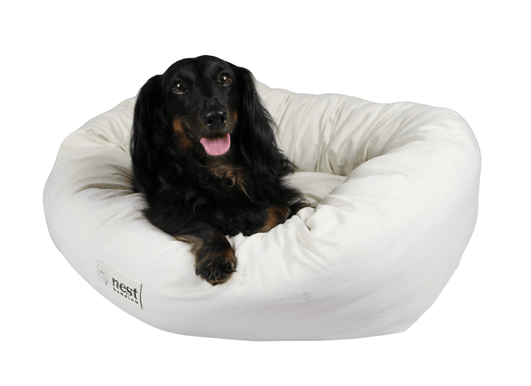 Medium Bolstered Pet Bed with dog