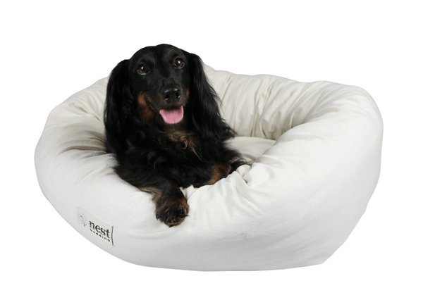 Medium Pet Pillow Filler Insert - White